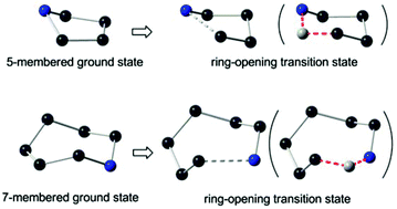Graphical abstract: SN2 regioselectivity in the esterification of 5- and 7-membered azacycloalkane quaternary salts: a DFT study to reveal the transition state ring conformation prevailing over the ground state ring strain