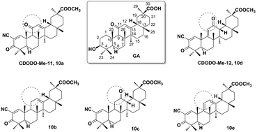 Graphical abstract: Synthesis of methyl 2-cyano-3,12-dioxo-18β-olean-1,9(11)-dien-30-oate analogues to determine the active groups for inhibiting cell growth and inducing apoptosis in leukemia cells