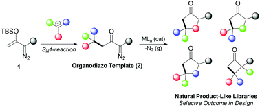 Graphical abstract: A survey of enoldiazo nucleophilicity in selective C–C bond forming reactions for the synthesis of natural product-like frameworks