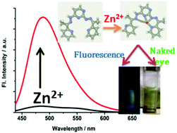 Graphical abstract: An efficient, Schiff-base derivative for selective fluorescence sensing of Zn2+ ions: quantum chemical calculation appended by real sample application and cell imaging study