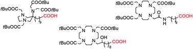 Graphical abstract: An enzymatic approach to bifunctional chelating agents