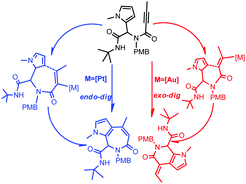 Graphical abstract: The mechanism and regioselectivity of gold(i) or platinum(ii) catalyzed intramolecular hydroarylation to pyrrolopyridinones and pyrroloazepinones