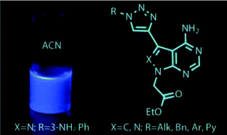 Graphical abstract: Synthesis and photophysical characterisation of new fluorescent triazole adenine analogues