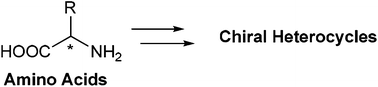 Graphical abstract: Amino acid chirons: a tool for asymmetric synthesis of heterocycles