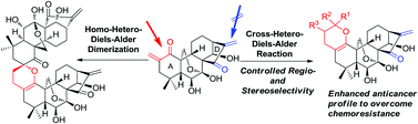 Graphical abstract: ent-Kaurane-based regio- and stereoselective inverse electron demand hetero-Diels–Alder reactions: synthesis of dihydropyran-fused diterpenoids