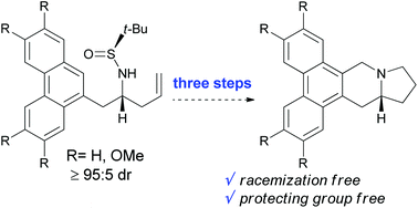 Graphical abstract: Short asymmetric synthesis of phenanthroindolizidines through chiral homoallylic sulfinamines
