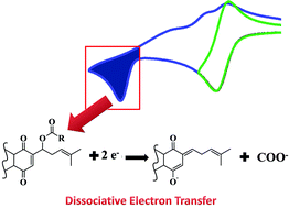 Graphical abstract: Electrochemical and theoretical analysis of the reactivity of shikonin derivatives: dissociative electron transfer in esterified compounds