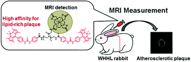 Graphical abstract: A design strategy for small molecule-based targeted MRI contrast agents: their application for detection of atherosclerotic plaques