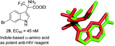 Graphical abstract: Synthesis and SARs of indole-based α-amino acids as potent HIV-1 non-nucleoside reverse transcriptase inhibitors