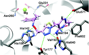 Graphical abstract: The design, synthesis and biological evaluation of novel thiamin diphosphate analog inhibitors against the pyruvate dehydrogenase multienzyme complex E1 from Escherichia coli