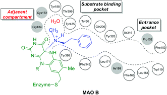 Graphical abstract: Profiling substrate specificity of two series of phenethylamine analogs at monoamine oxidase A and B