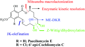 Graphical abstract: Asymmetric total synthesis of paecilomycin E, 10′-epi-paecilomycin E and 6′-epi-cochliomycin C