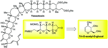 Graphical abstract: Synthesis of a chiral building block for highly functionalized polycyclic ethers