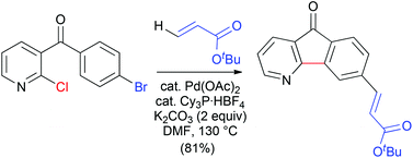 Graphical abstract: Synthesis of substituted azafluorenones from dihalogeno diaryl ketones by palladium-catalyzed auto-tandem processes