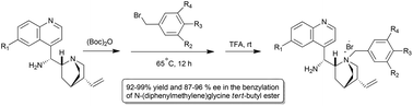 Graphical abstract: 9-Amino-(9-deoxy)cinchona alkaloid-derived new chiral phase-transfer catalysts