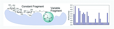 Graphical abstract: Evaluation of a focused virtual library of heterobifunctional ligands for Clostridium difficile toxins