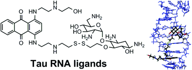 Graphical abstract: Ametantrone-based compounds as potential regulators of Tau pre-mRNA alternative splicing