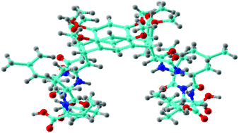 Graphical abstract: Hydrolytic inhibition of α-chymotrypsin by 2,8,14,20-tetrakis(d-leucyl-d-valinamido)resorc[4]arenecarboxylic acid: a spectroscopic NMR and computational combined approach