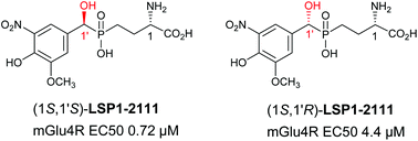 Graphical abstract: Determination of the absolute configuration of phosphinic analogues of glutamate