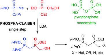 Graphical abstract: Synthesis of (phosphonomethyl)phosphinate pyrophosphate analogues via the phospha-Claisen condensation