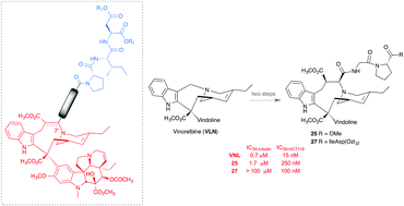 Graphical abstract: Synthesis and evaluation of hybrid molecules targeting the vinca domain of tubulin