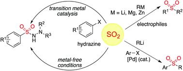 Graphical abstract: Fixation of sulfur dioxide into small molecules