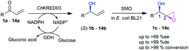 Graphical abstract: Synthesis of enantiopure glycidol derivatives via a one-pot two-step enzymatic cascade