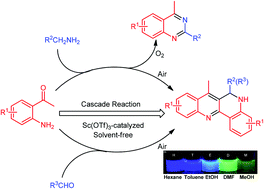Graphical abstract: A Sc(OTf)3-catalyzed cascade reaction of o-aminoacetophenone with methanamine: construction of dibenzo[b,h][1,6]naphthyridine derivatives