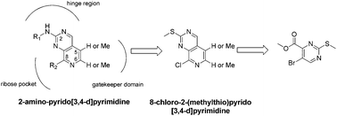 Graphical abstract: Expanding the scope of fused pyrimidines as kinase inhibitor scaffolds: synthesis and modification of pyrido[3,4-d]pyrimidines