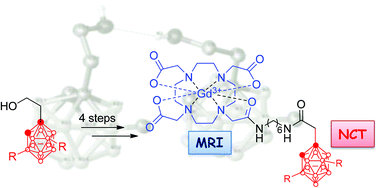 Graphical abstract: The hydroboration reaction as a key for a straightforward synthesis of new MRI-NCT agents