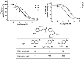 Graphical abstract: Synthesis, binding affinity and structure–activity relationships of novel, selective and dual targeting CCR2 and CCR5 receptor antagonists