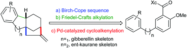 Graphical abstract: The enantioselective construction of tetracyclic diterpene skeletons with Friedel–Crafts alkylation and palladium-catalyzed cycloalkenylation reactions