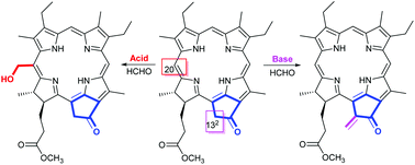 Graphical abstract: Highly efficient synthesis of novel methyl 132-methylene mesopyropheophorbide a and its stereoselective Michael addition reaction