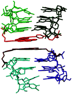 Graphical abstract: Interdependence of pyrene interactions and tetramolecular G4-DNA assembly