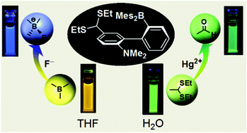 Graphical abstract: A highly selective ratiometric bifunctional fluorescence probe for Hg2+ and F− ions