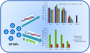 Graphical abstract: Bioreducible polyethylenimine nanoparticles for the efficient delivery of nucleic acids