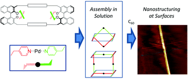 Graphical abstract: Chiral nanostructuring of multivalent macrocycles in solution and on surfaces