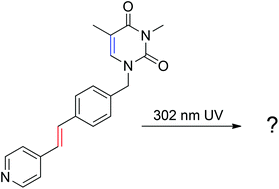 Graphical abstract: Synthesis of thyminyl stilbazoles and their photo-reactivity