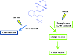 Graphical abstract: Photophysics and photochemistry of the β-lapachone derived diphenyldihydrodioxin: generation and characterization of its cation radical