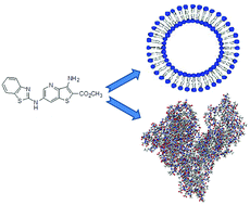 Graphical abstract: A new antitumoral Heteroarylaminothieno[3,2-b]pyridine derivative: its incorporation into liposomes and interaction with proteins monitored by fluorescence