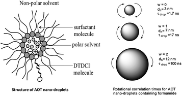 Graphical abstract: Photoisomerization and reorientational dynamics of DTDCI in AOT/alkane reverse micelles containing non-aqueous polar liquids