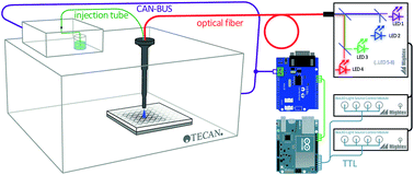 Graphical abstract: Upgrading a microplate reader for photobiology and all-optical experiments