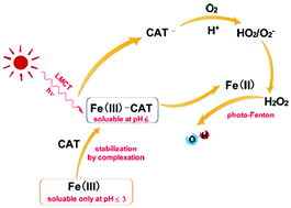 Graphical abstract: Catechin as a new improving agent for a photo-Fenton-like system at near-neutral pH for the removal of inderal