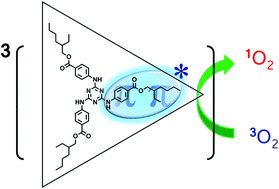 Graphical abstract: Photoexcited triplet states of UV-B absorbers: ethylhexyl triazone and diethylhexylbutamido triazone