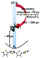 Graphical abstract: The geometry relaxation and intersystem crossing of quaterthiophene studied by femtosecond spectroscopy