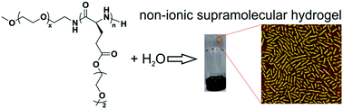 Graphical abstract: Supramolecular hydrogels assembled from nonionic poly(ethylene glycol)-b-polypeptide diblocks containing OEGylated poly-l-glutamate