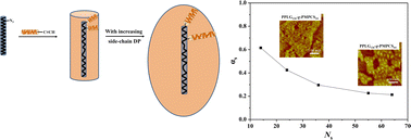 Graphical abstract: Synthesis and properties of a rod-g-rod bottlebrush with a semirigid mesogen-jacketed polymer as the side chain