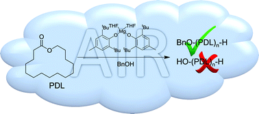 Graphical abstract: ‘Immortal’ ring-opening polymerization of ω-pentadecalactone by Mg(BHT)2(THF)2