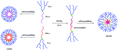 Graphical abstract: Novel linear-dendritic-like amphiphilic copolymers: synthesis and self-assembly characteristics