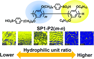 Graphical abstract: Synthesis and properties of hydrophilic–hydrophobic diblock copolymer ionomers based on poly(p-phenylene)s